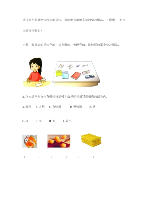 教科版一年级下册科学期末测试卷（研优卷）.docx