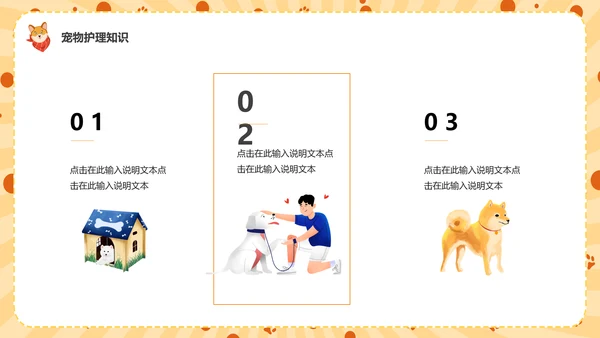 猫咪，宠物健康管理PPT模板