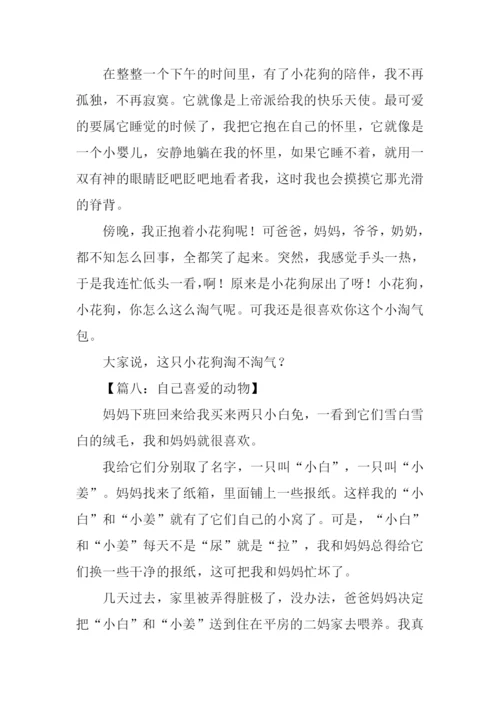 动物作文500字0.docx