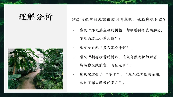 地下森林作家张抗抗作品解读PPT课件