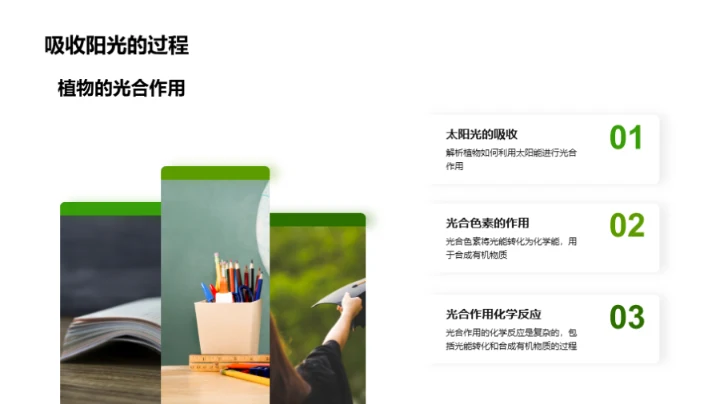 探索植物的奥秘