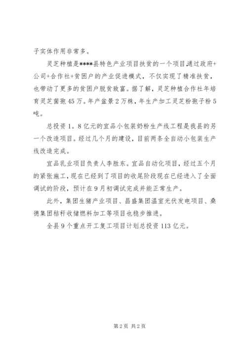 县项目建设稳步推进报告.docx