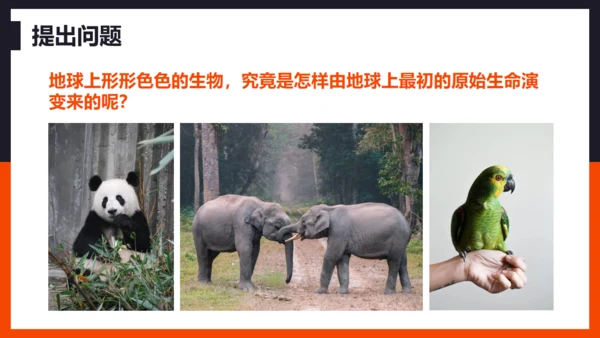 生命起源和生物进化企鹅通用PPT模板