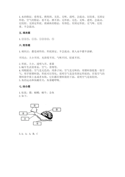 教科版小学科学一年级下册期末测试卷1套.docx