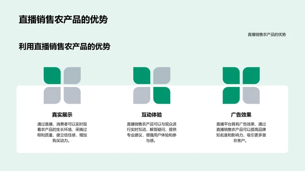 双十二农产品直播PPT模板