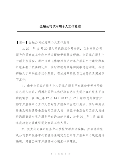 金融公司试用期个人工作总结.docx