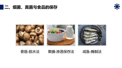 人类对细菌和真菌的利用PPT课件