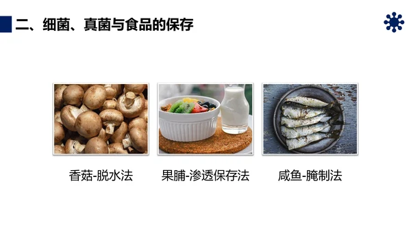 人类对细菌和真菌的利用PPT课件