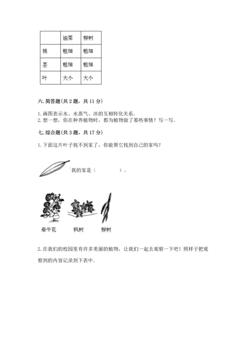 教科版科学一年级上册第一单元《植物》测试卷及一套参考答案.docx