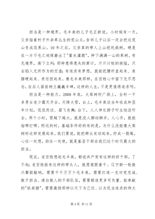 学习毛丰美先进事迹心得体会6篇.docx