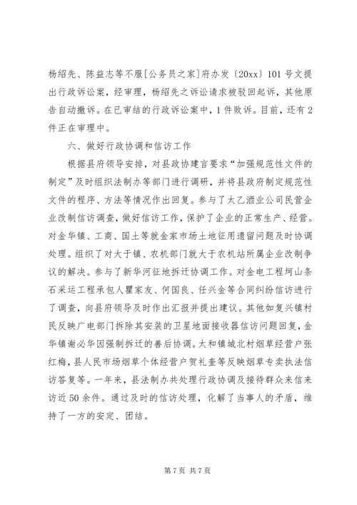 县年度行政执法责任制工作自查报告.docx