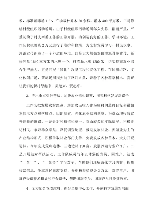 村领导工作总结报告