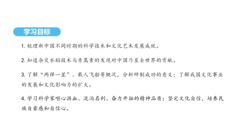 第18课 科技文化成就  课件 2024-2025学年统编版八年级历史下册