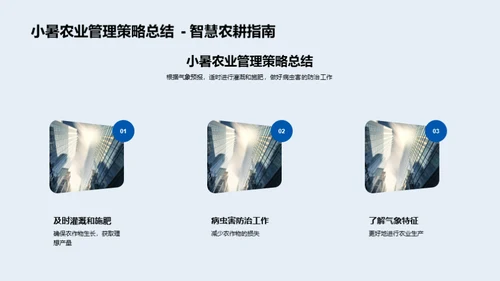 小暑气象农业策略