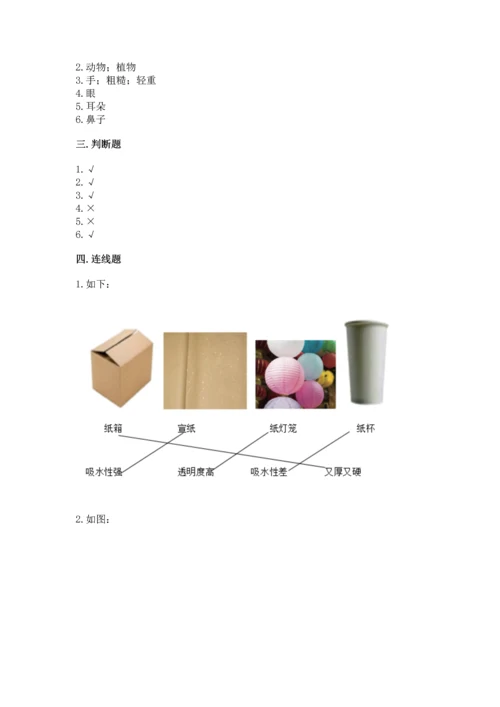 教科版科学二年级上册《期末测试卷》【考点梳理】.docx
