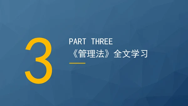 2024中华人民共和国境外非政府组织境内活动管理法解读PPT