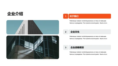 单色扁平3项企业介绍