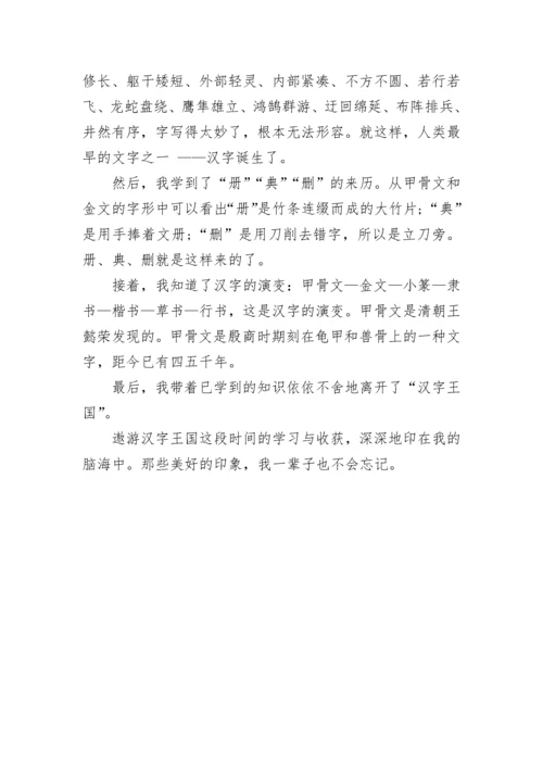 学习遨游汉字王国的收获作文.docx