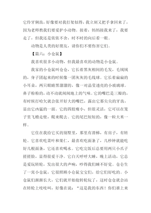 写小仓鼠的作文.docx