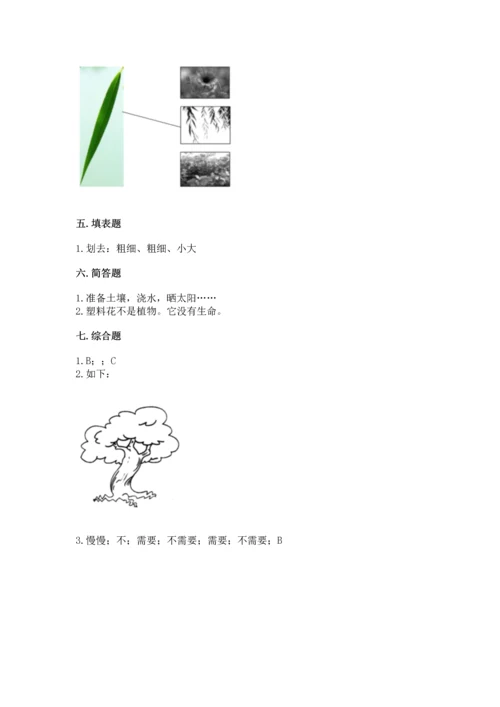 教科版科学一年级上册第一单元《植物》测试卷带答案（b卷）.docx
