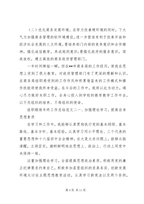 挂职锻炼工作总结【挂职锻炼年终工作总结和工作计划】.docx