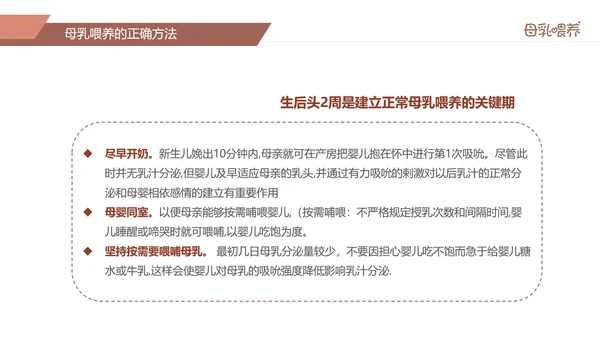 准妈妈母乳喂养知识培训亲子母婴PPT模板