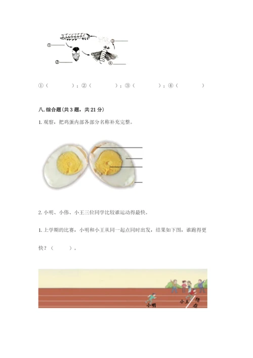 教科版三年级下册科学期末测试卷附答案【实用】.docx