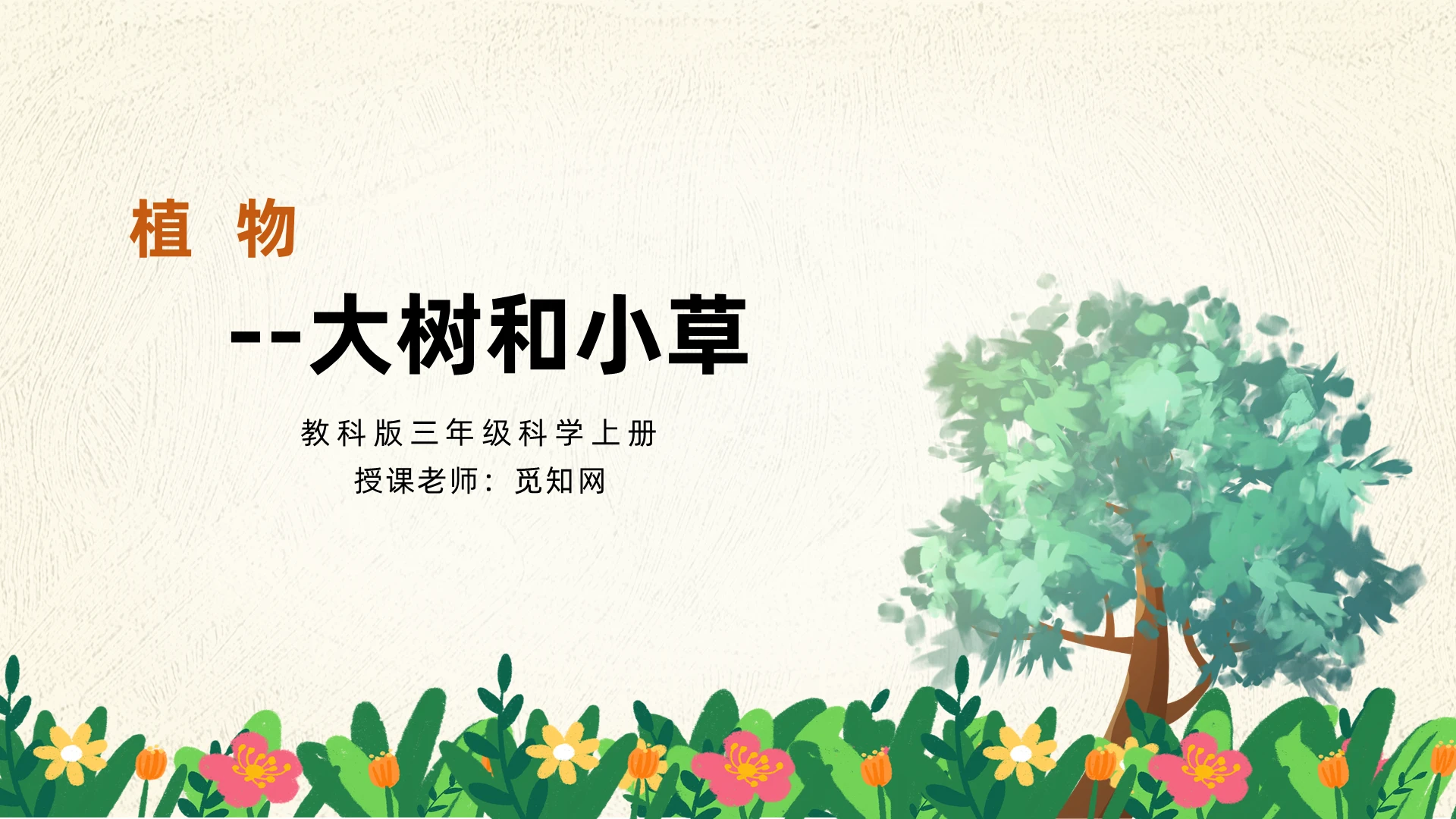 粉白色简约风大树和小草植物说课PPT模板小学科学课件