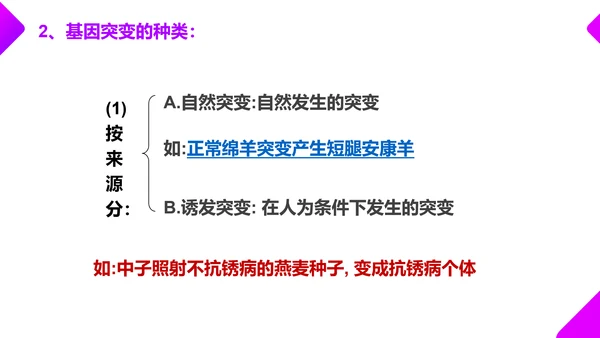基因突变和基因重组初高中生物PPT课件