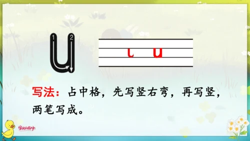 汉语拼音2  i  u  ü  y  w 课件