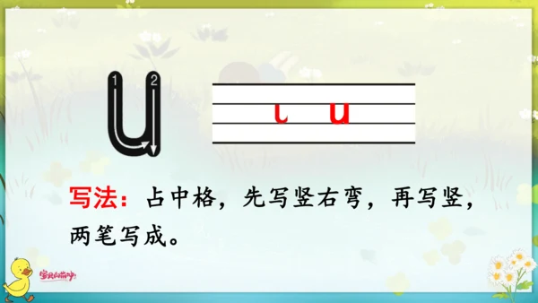汉语拼音2  i  u  ü  y  w 课件