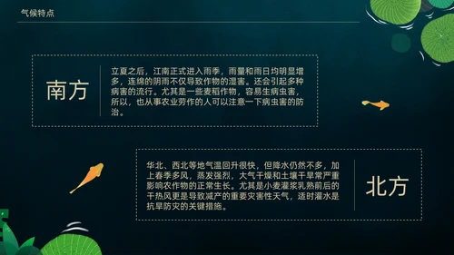 立夏荷叶绿色清新夏天通用PPT模板
