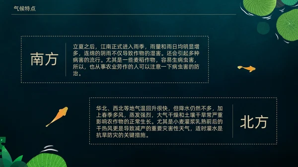 立夏荷叶绿色清新夏天通用PPT模板