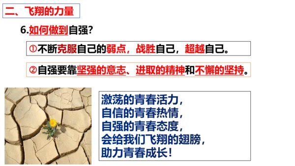 第三课 青春的证明 复习课件（25张PPT）