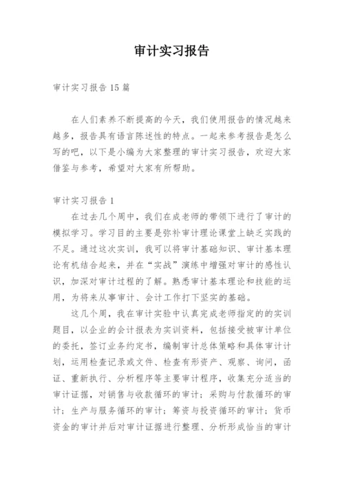 审计实习报告_5.docx