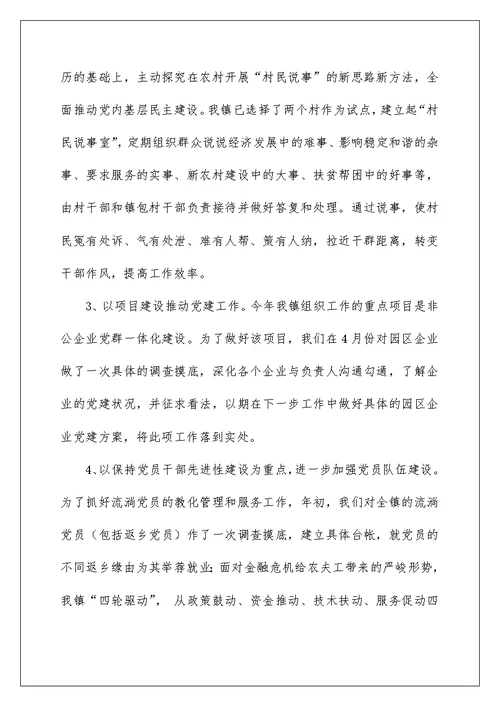 2022乡镇组织工作总结 镇组织工作总结 3