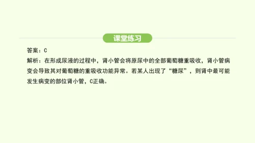 第四单元-第五章-人体内废物的排出课件-2024-2025学年七年级生物下学期人教版(2024)(共