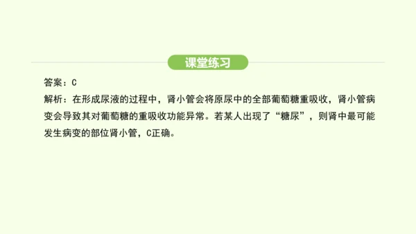 第四单元-第五章-人体内废物的排出课件-2024-2025学年七年级生物下学期人教版(2024)(共