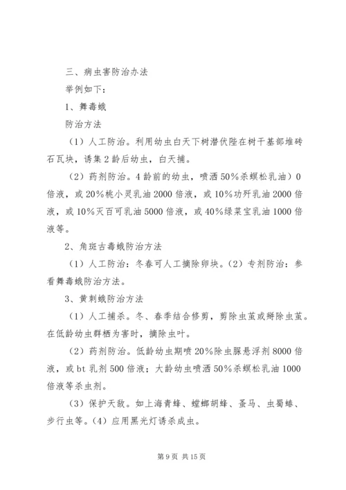 苗木补种方案及养护规划 (2).docx