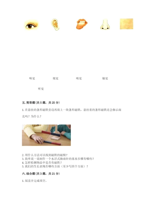 教科版小学科学二年级下册 期末测试卷word版.docx