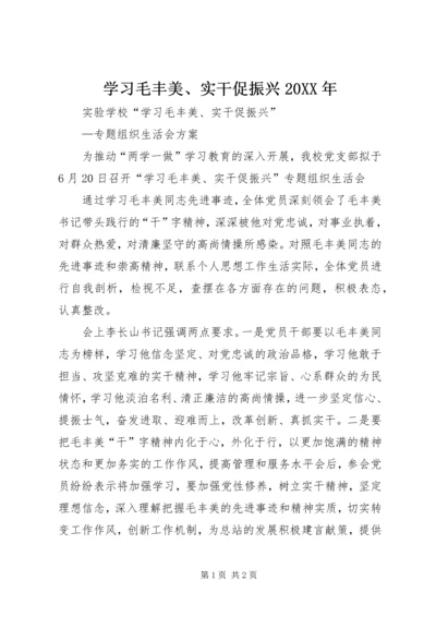 学习毛丰美、实干促振兴20XX年 (4).docx