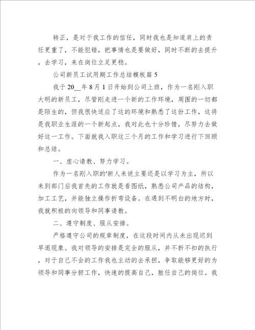 公司新员工试用期工作总结模板工作总结范文