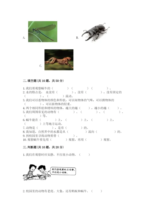 教科版一年级下册科学期末测试卷及参考答案（达标题）.docx