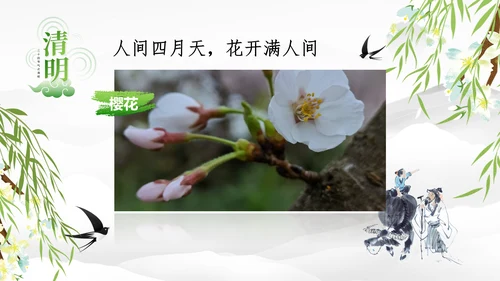 清明节的由来习俗，春意通用PPT模板