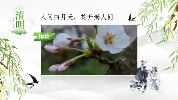 清明节的由来习俗，春意通用PPT模板