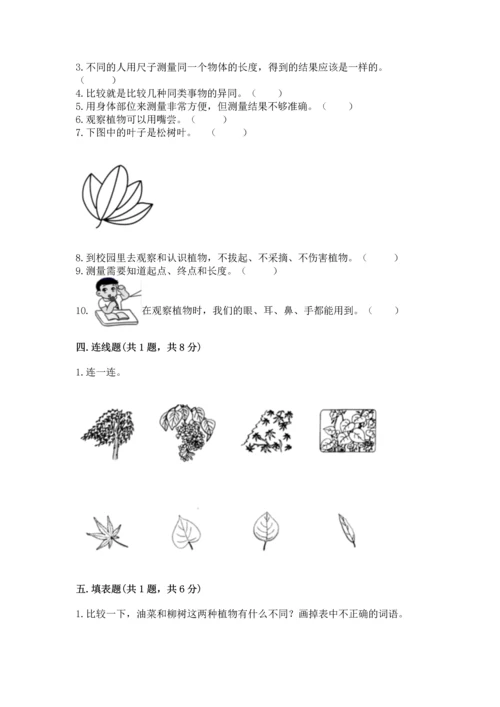 教科版一年级上册科学期末测试卷附参考答案ab卷.docx