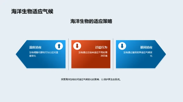 海洋气候变迁：深度剖析