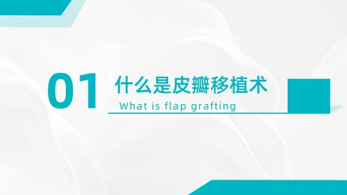商务、简约、皮瓣移植术后护理、医学项目类、PPT模版护理查房