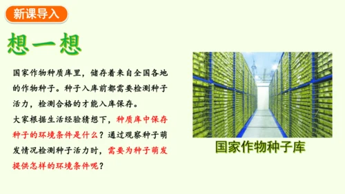 3.1.1 种子的萌发-七年级生物下学期同步精品课件（2024人教版）(共25张PPT)