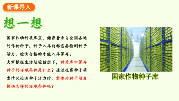 3.1.1 种子的萌发-七年级生物下学期同步精品课件（2024人教版）(共25张PPT)